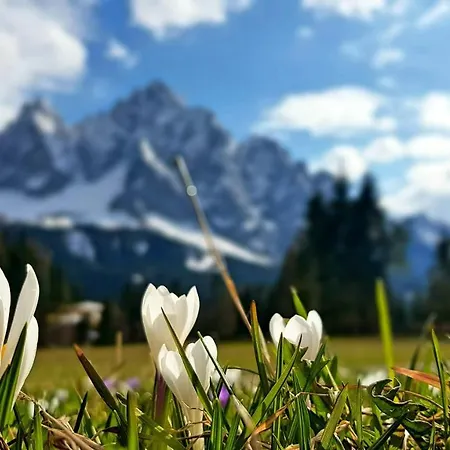 Siera Hof * Sappada
